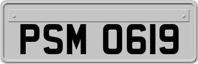 PSM0619