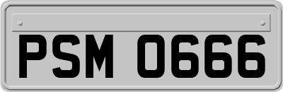 PSM0666
