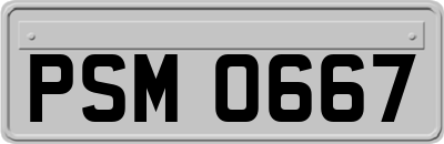 PSM0667
