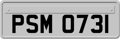 PSM0731
