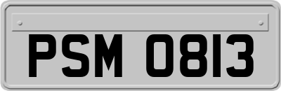 PSM0813