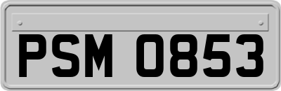 PSM0853