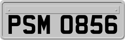 PSM0856