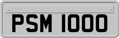 PSM1000
