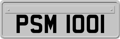 PSM1001