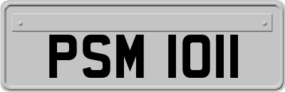 PSM1011