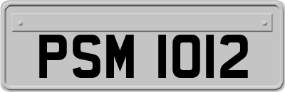 PSM1012