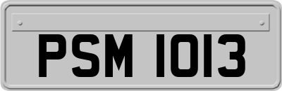 PSM1013