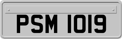 PSM1019