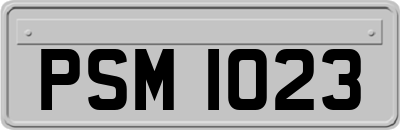 PSM1023