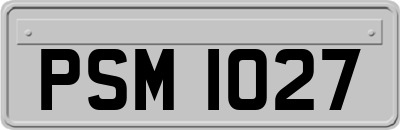 PSM1027