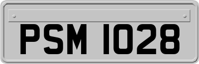 PSM1028