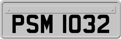 PSM1032