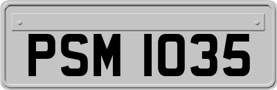 PSM1035