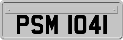 PSM1041