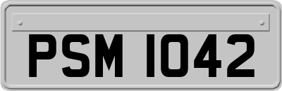 PSM1042