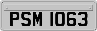 PSM1063