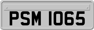 PSM1065