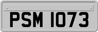 PSM1073