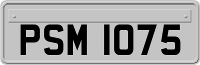 PSM1075