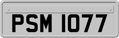 PSM1077