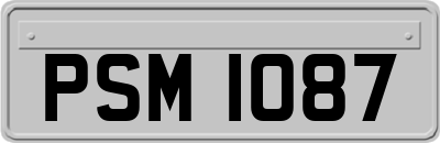 PSM1087