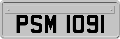 PSM1091