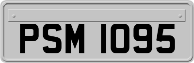 PSM1095