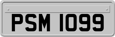 PSM1099