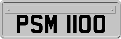 PSM1100