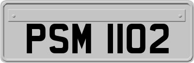 PSM1102
