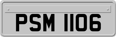 PSM1106