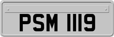 PSM1119