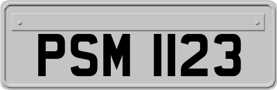 PSM1123