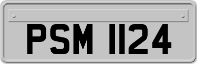 PSM1124
