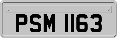 PSM1163