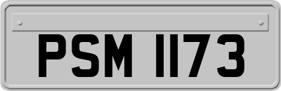 PSM1173