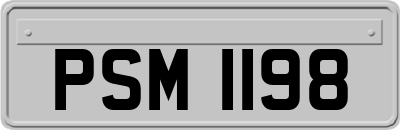 PSM1198