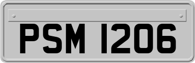 PSM1206