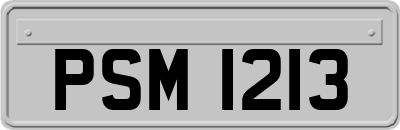 PSM1213