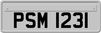 PSM1231