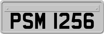 PSM1256