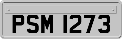 PSM1273