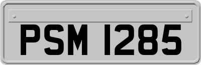 PSM1285
