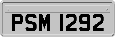 PSM1292