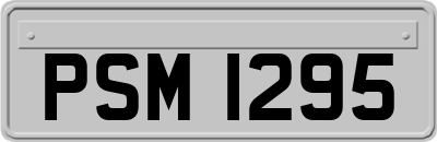 PSM1295