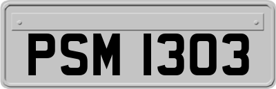 PSM1303