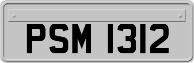 PSM1312