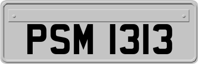 PSM1313