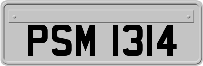 PSM1314